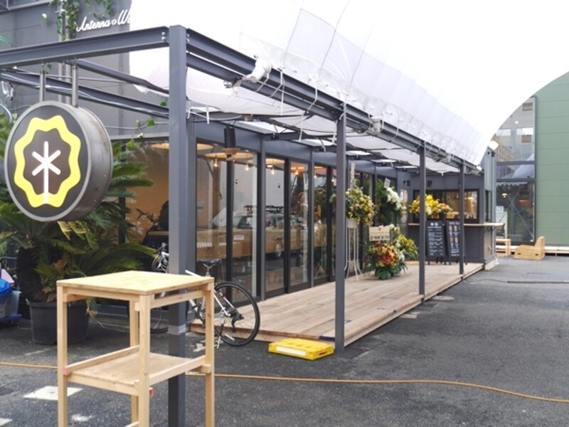 Antennaのロゴマーク