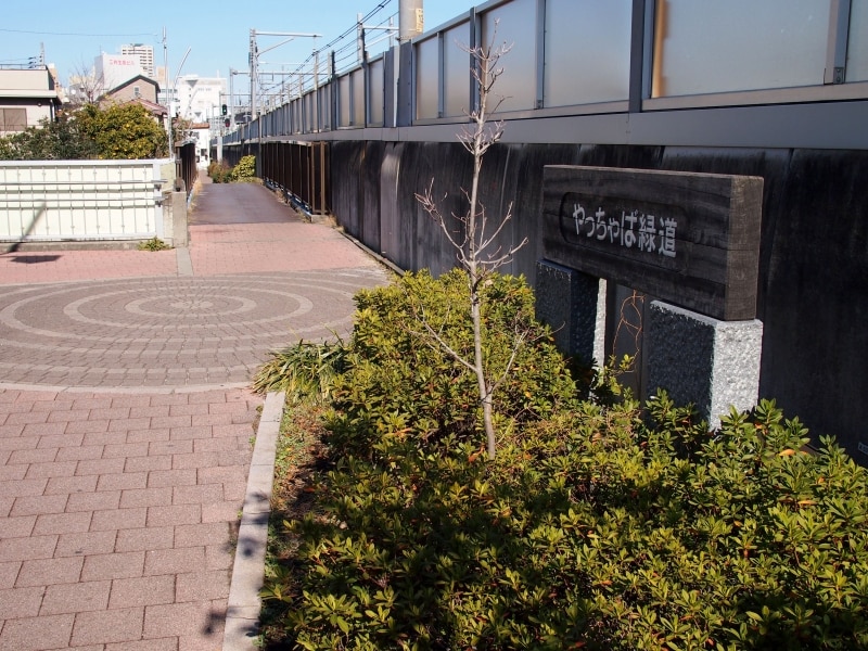 この先で墨堤通りをまたぐ