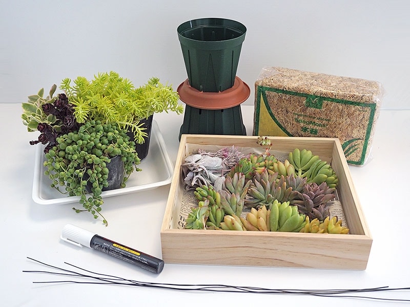 多肉ボールの材料