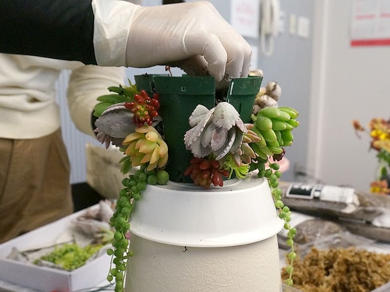 講習会での制作風景