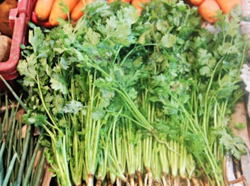 市場で売られている新鮮な香菜
