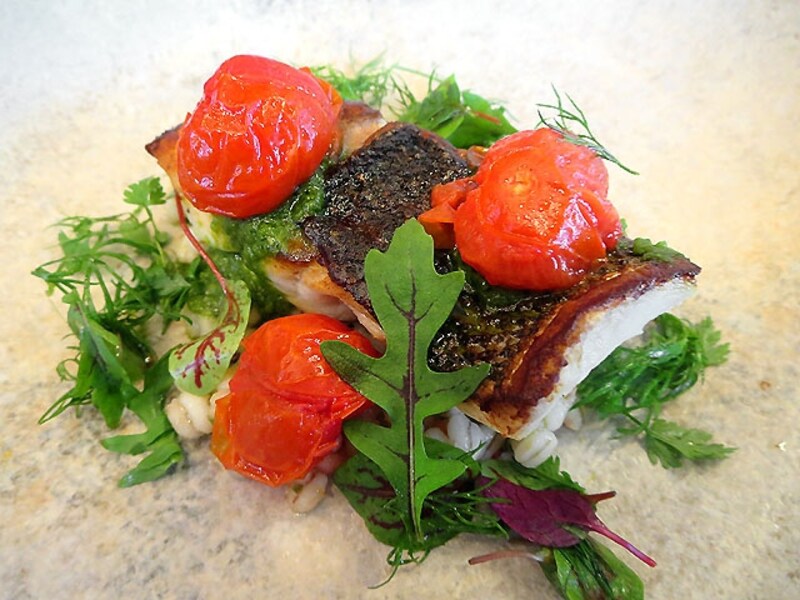 ローストした鱸 大麦のマリネ チミチュリソース