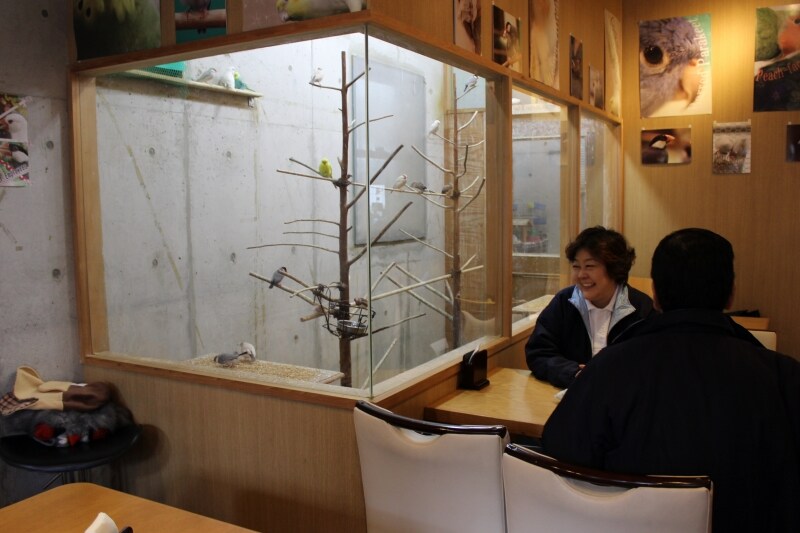 とりみカフェ店の中は？