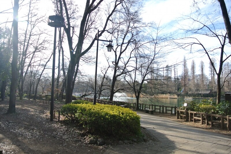 都立井の頭恩賜公園