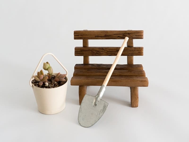 多肉ベイビーとミニベンチ