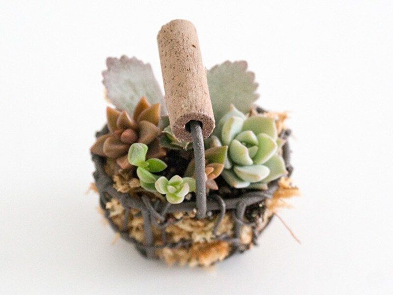 小さなワイヤーバスケットに