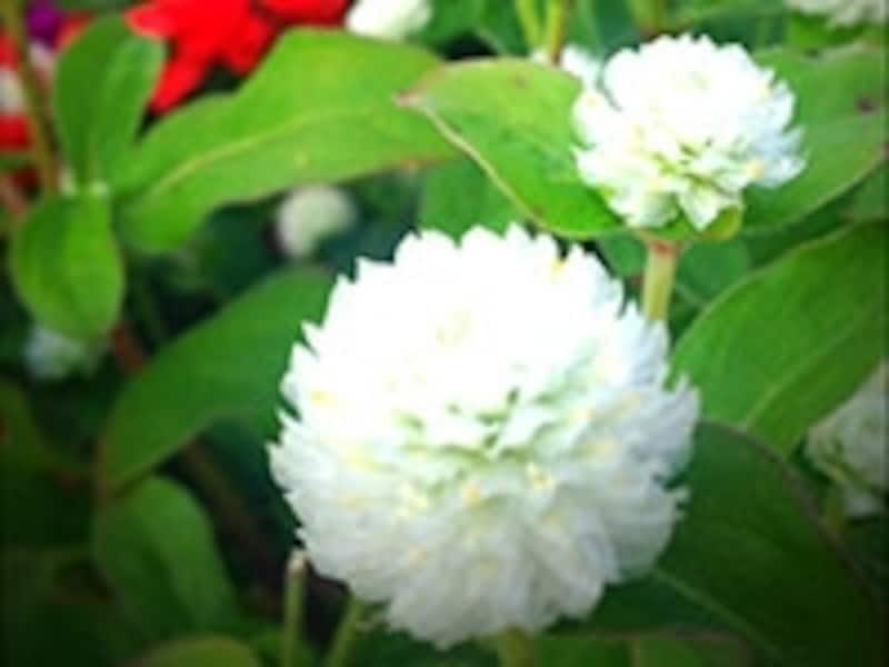 どんな自分になりたいですか？