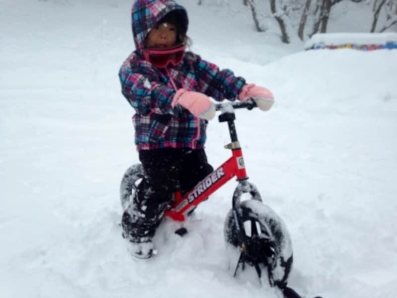 「スノーストライダー」など、楽しいアクティビティが盛りだくさん♪