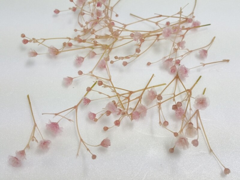 お雛さまアレンジメント