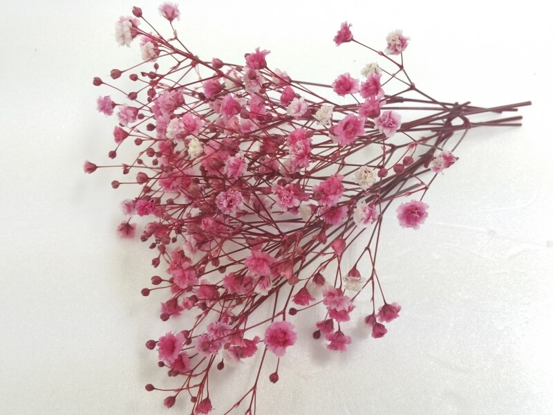 お雛さまアレンジメント