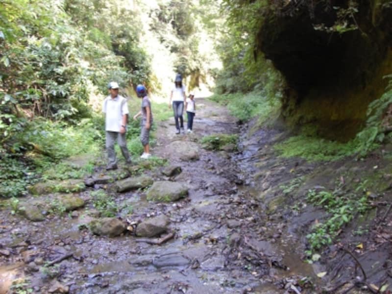 沢伝いの登り道