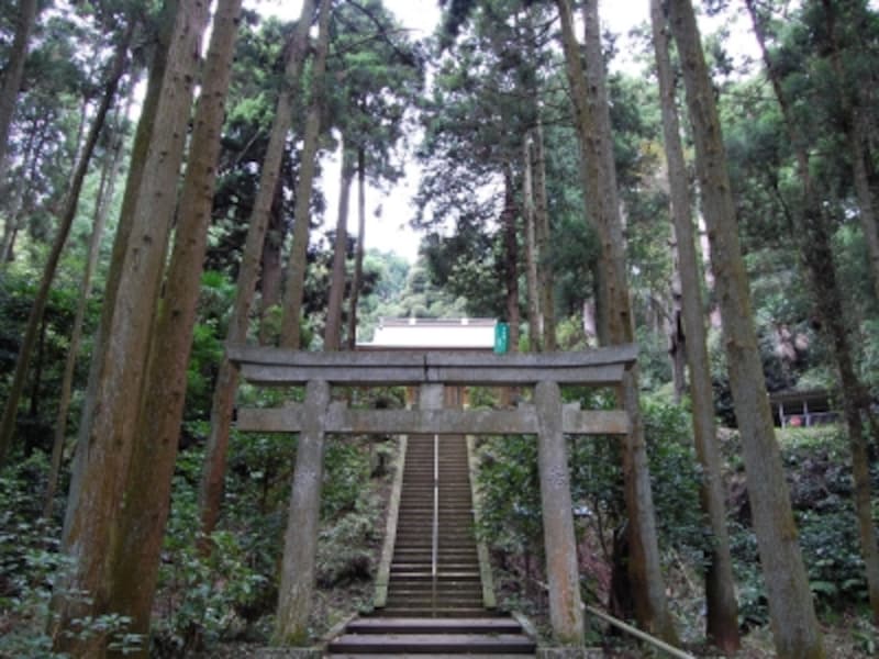 鎌倉幕府の鬼門を守る、熊野神社