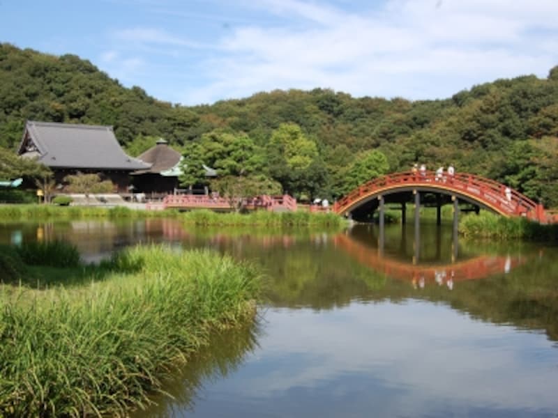 「称名寺」の浄土庭園