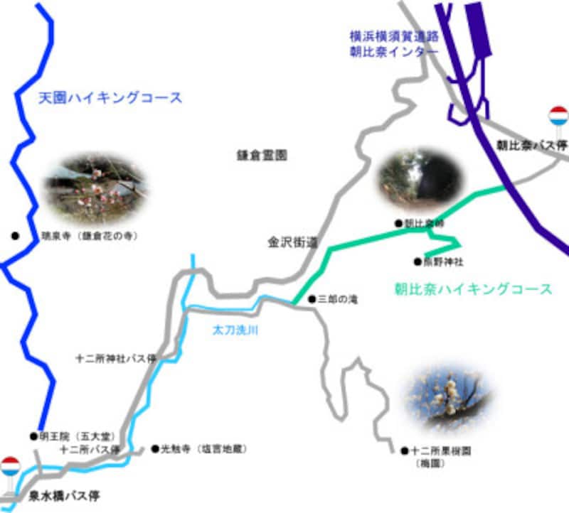 朝比奈ハイキングコースのルート案内 出典:鎌倉紀行