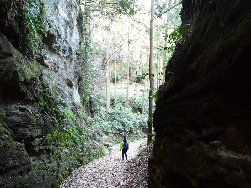 迫力ある朝比奈切通しの道