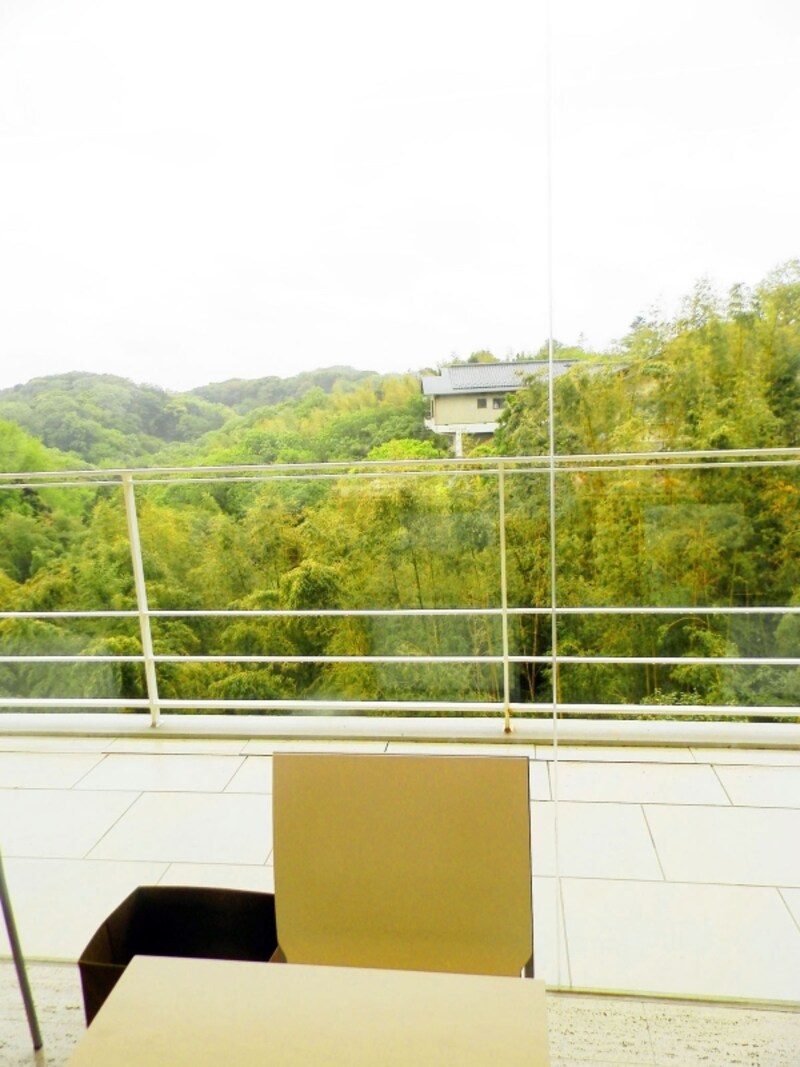 店内より望む緑