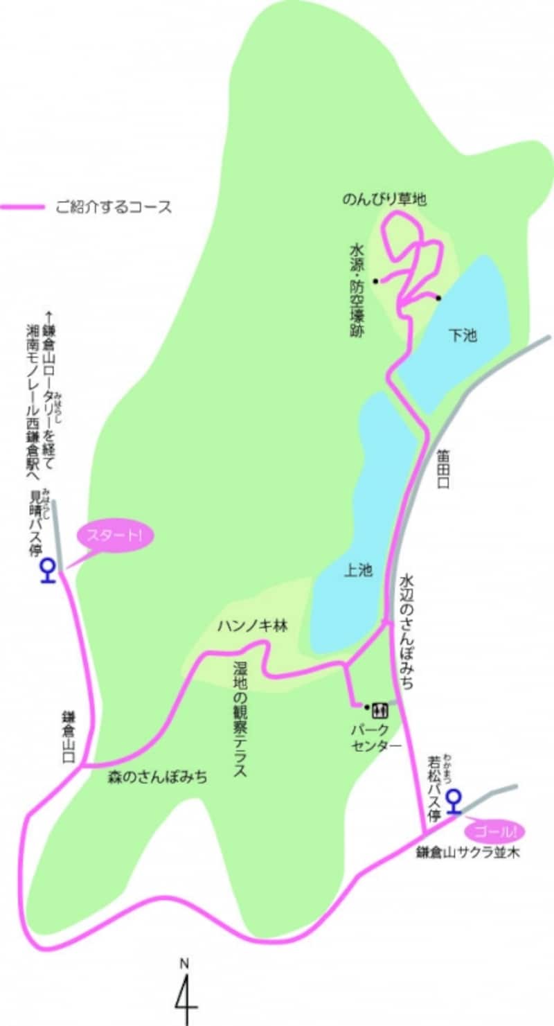 今回ご紹介したルートの地図