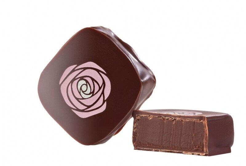 Rose Baies de Rose