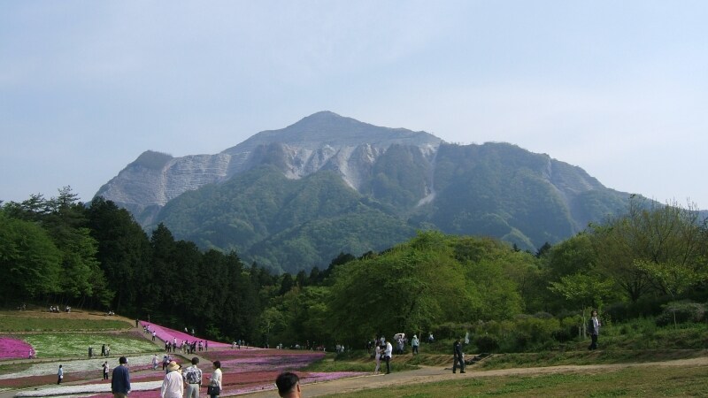 羊山公園の南側で日々山容を変える武甲山