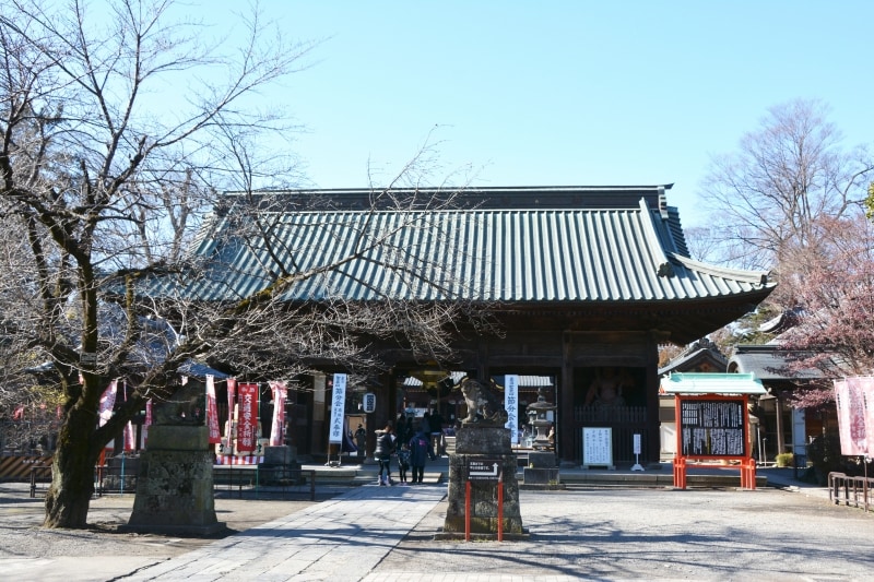 左右から金剛力士像が睨みを効かす仁王門