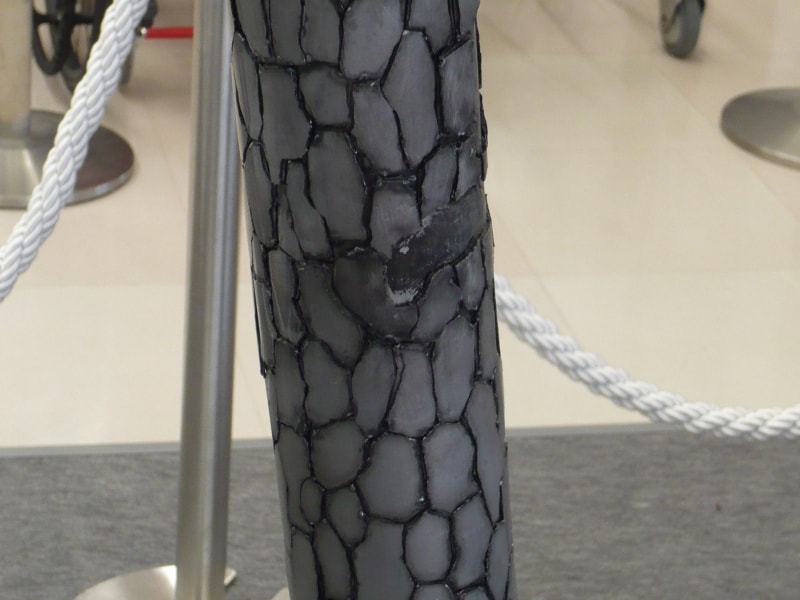 一本松の幹の部分