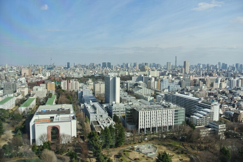 イフォレストレジデンス」の上層階住戸からの景色