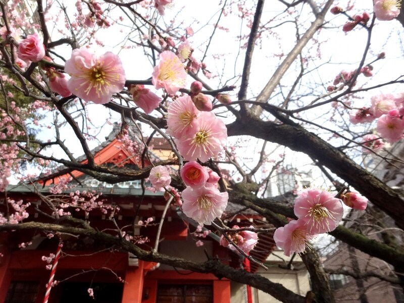 見ていて飽きない