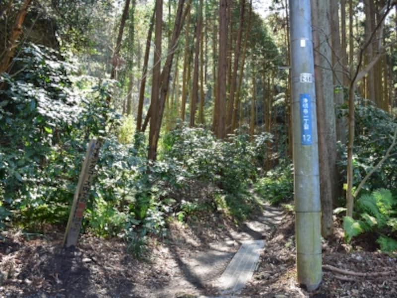 ハイキングコース入口