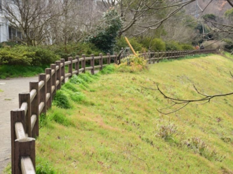 木の柵に沿って進みましょう