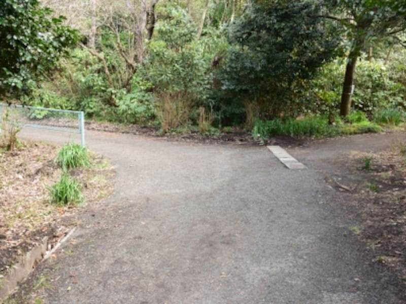 ここは、右に進みます