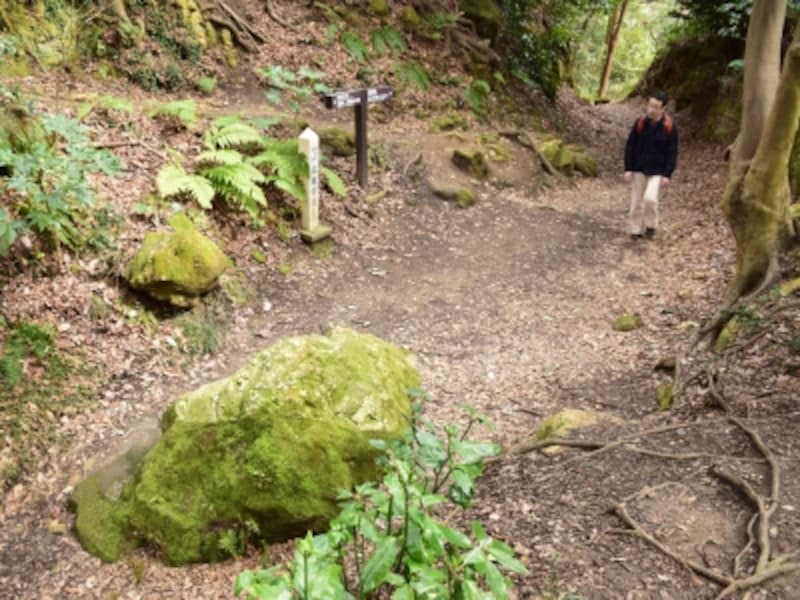 「名越切通し」の標識が立っている場所