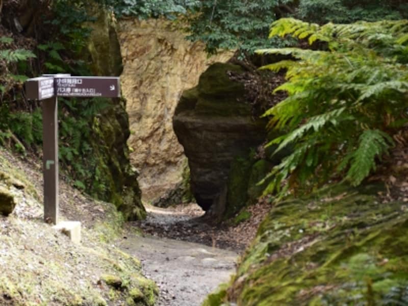 名越の「第一切通」