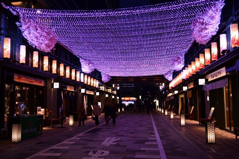 夜桜バル（3月28日・29日）も開催される花見舞台