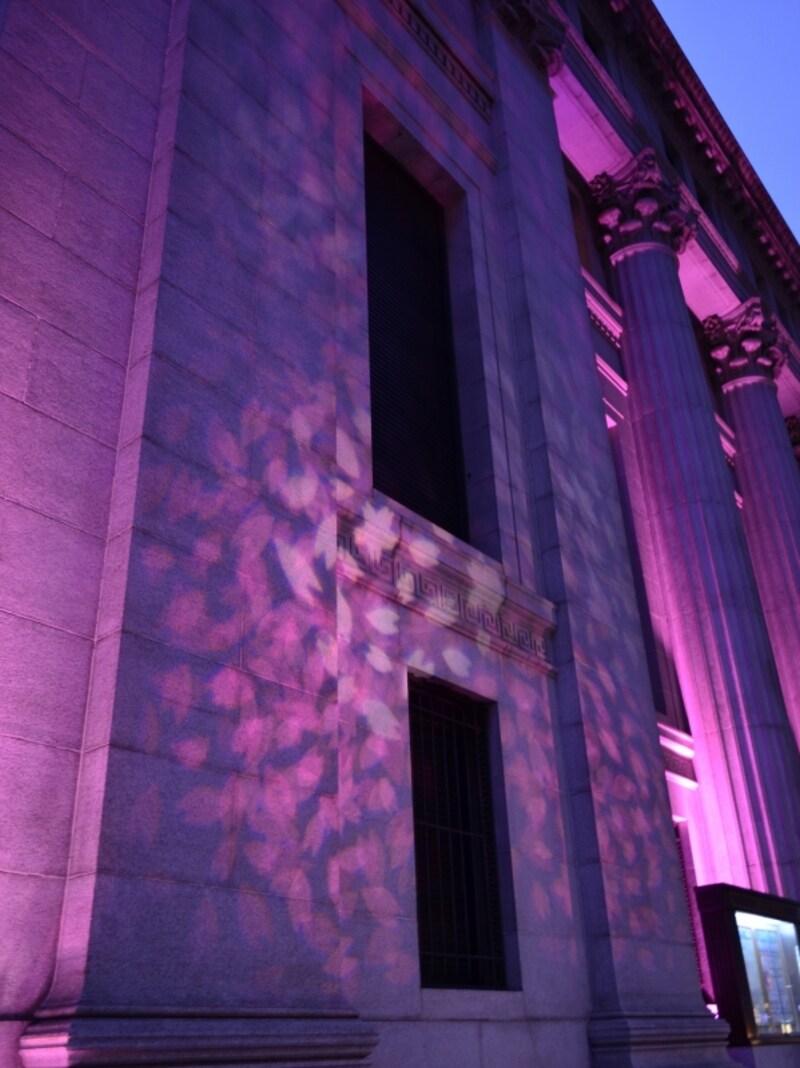 花びらが揺らぐ光が美しい