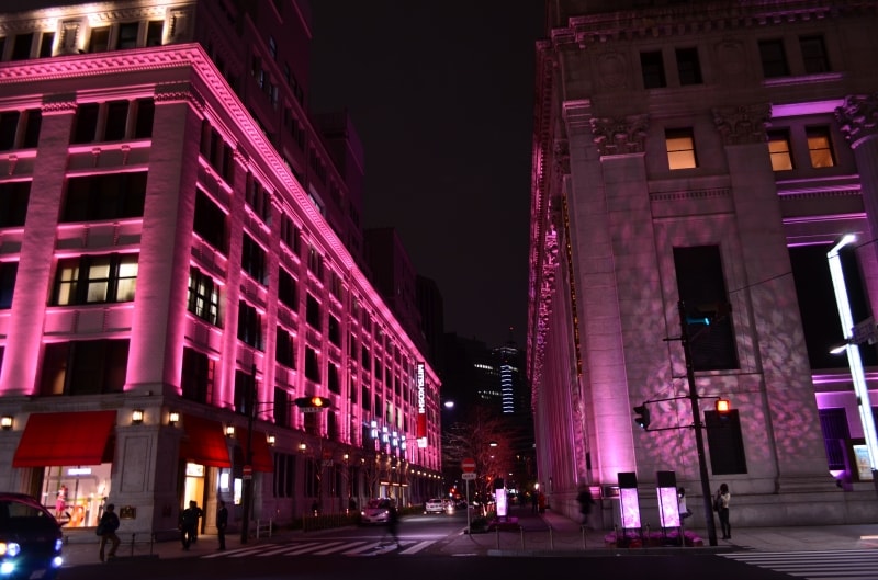 桜ライトアップ