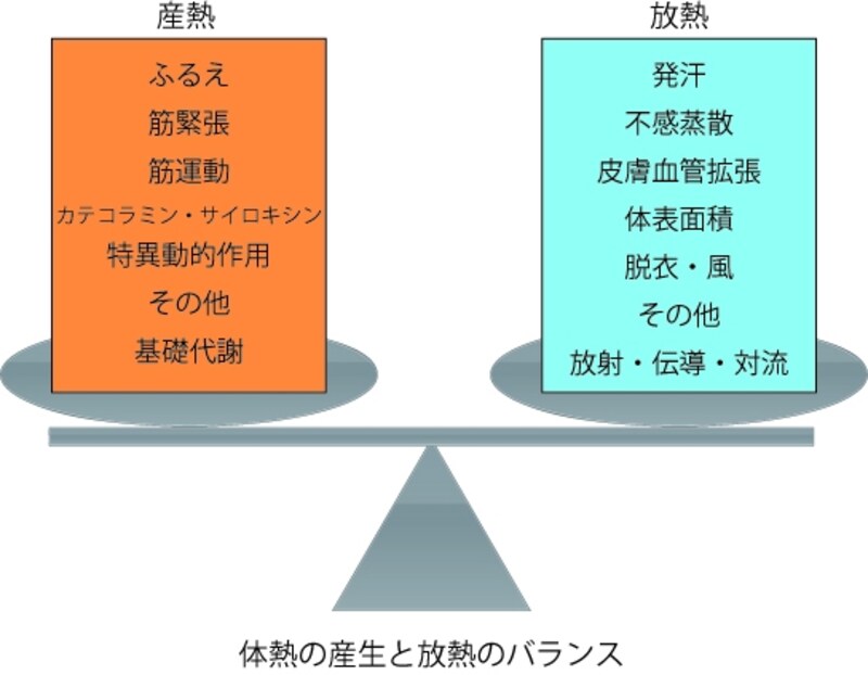 体熱の産生と放熱のバランス