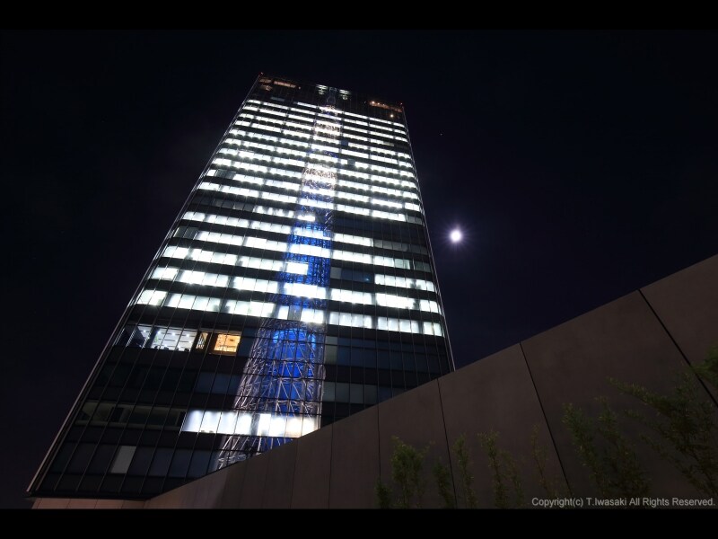 東京ソラマチ ドームガーデン