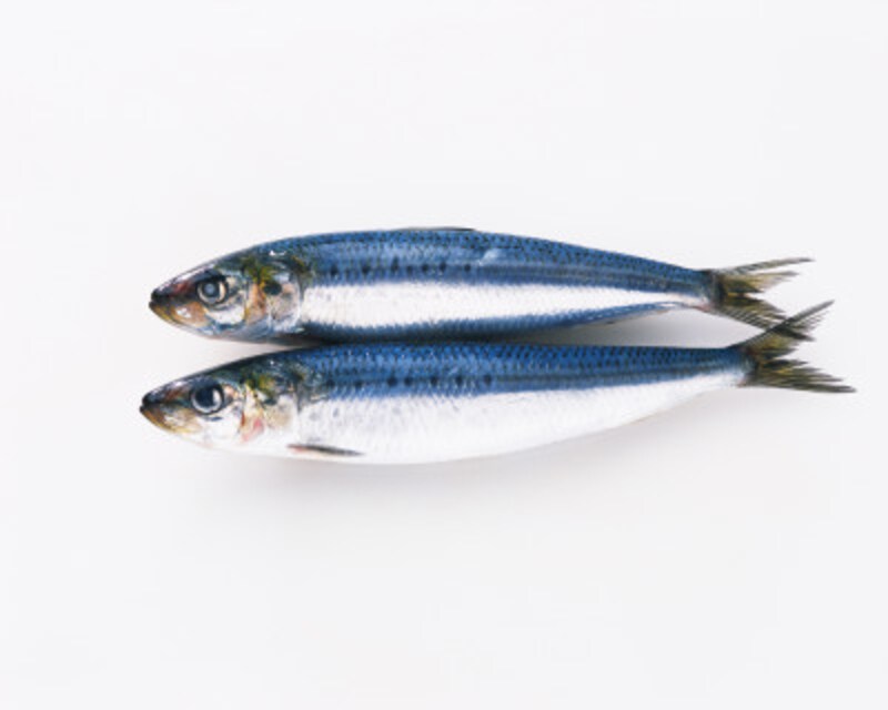 魚のケーキ?