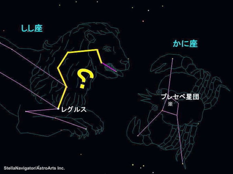 しし座とかに座