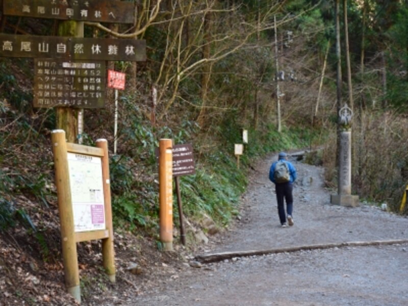 「6号路」登山口
