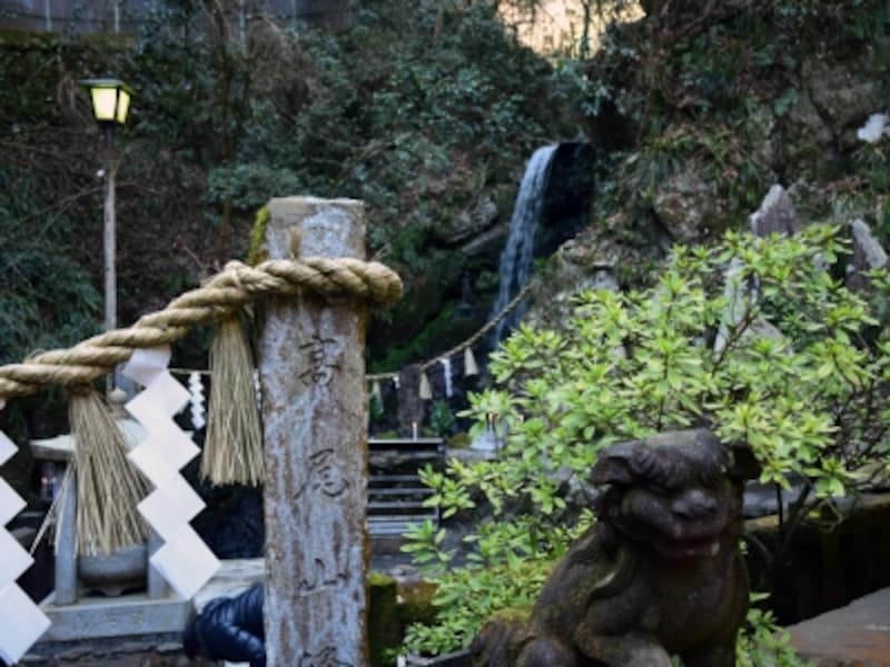 「水行」体験ができる『琵琶滝』