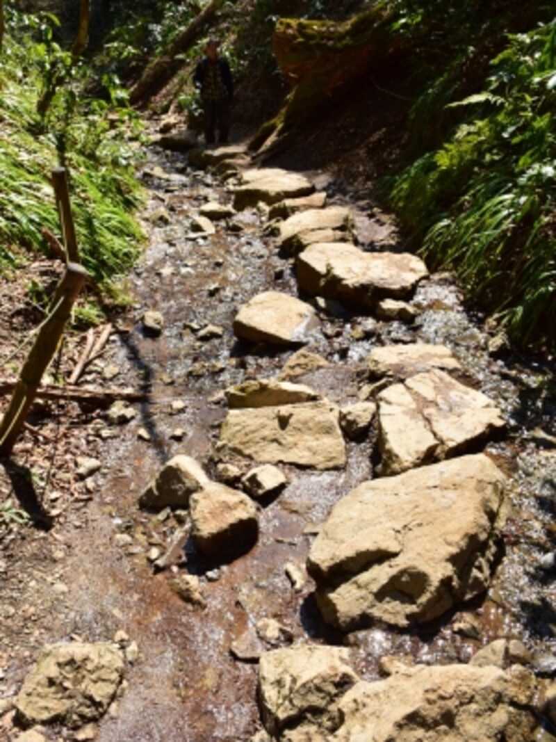 とび石を上から見たところ