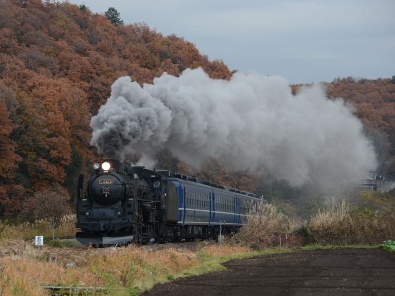 蒸気機関車C61形