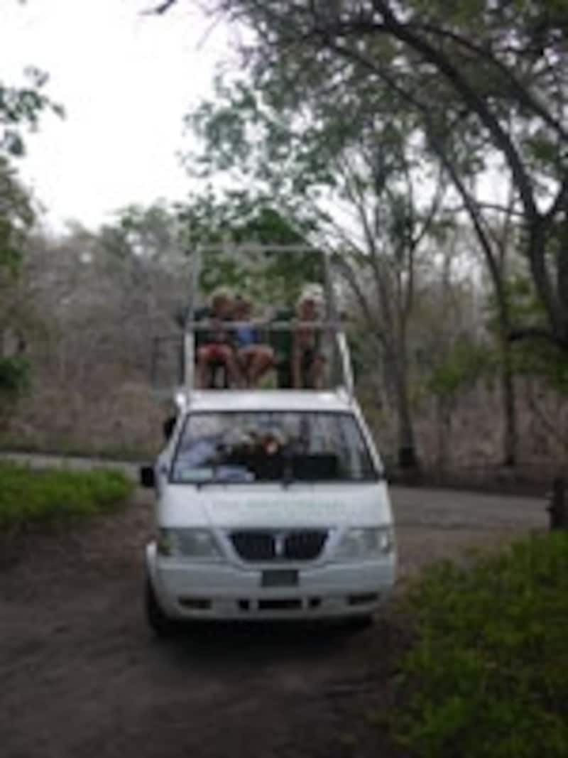 二階席で鹿や鳥を探します