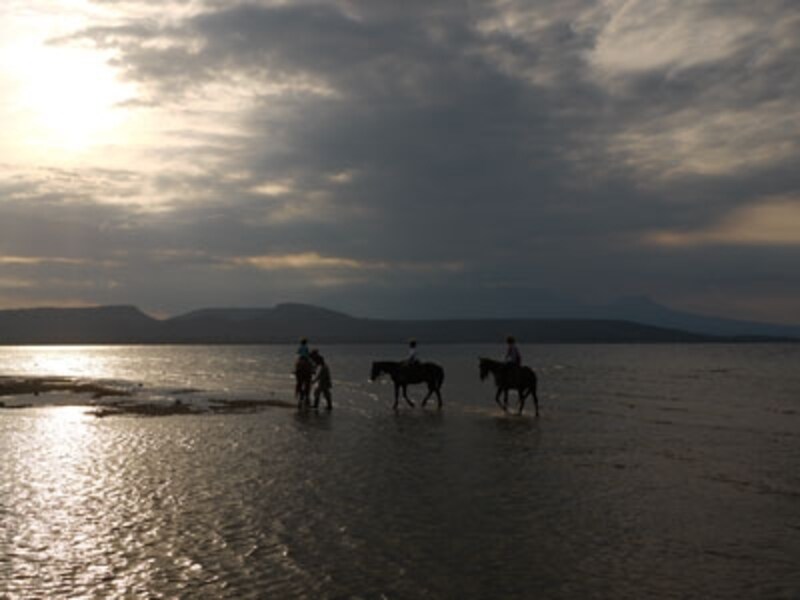 ホースライディング