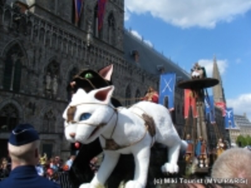 イーペルネコ祭り