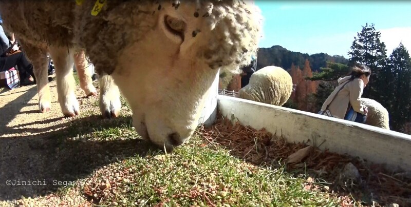 アクションカメラ