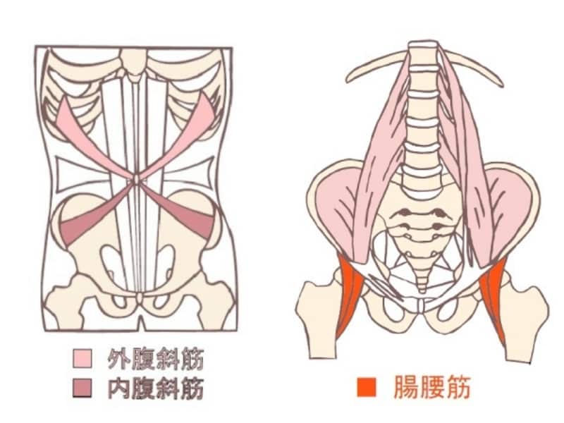 腹斜筋と腸腰筋