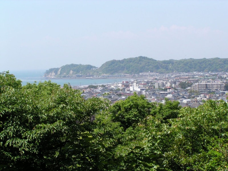 安国論寺の山の上から望む海
