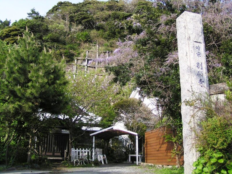 フジの花咲く別願寺